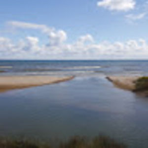 Meet your Posher, Warren